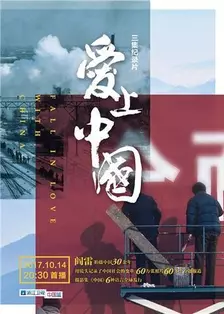 《爱上中国》海报