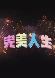 《完美人生》剧照海报