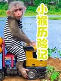小猴历险记 海报