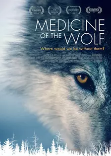 狼人类的解药 海报