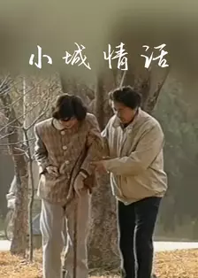 小城情话 海报