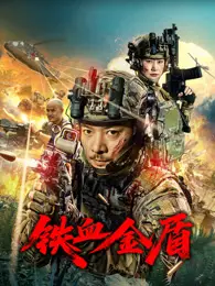 铁血金盾 海报