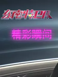 东南特卫队精彩瞬间 海报