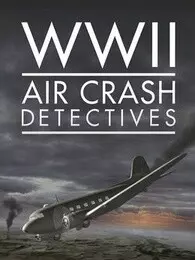 二战坠机调查 海报