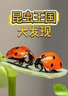 《昆虫大百科》海报
