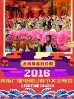 青海卫视2016春晚 海报