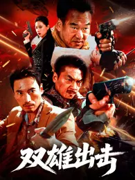 双雄出击 海报