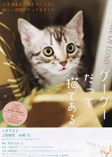 《咕咕是一只猫》剧照海报