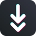 Free TT Video Downloader