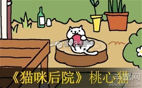 《猫咪后院》桃心猫需要什么道具才会出现?