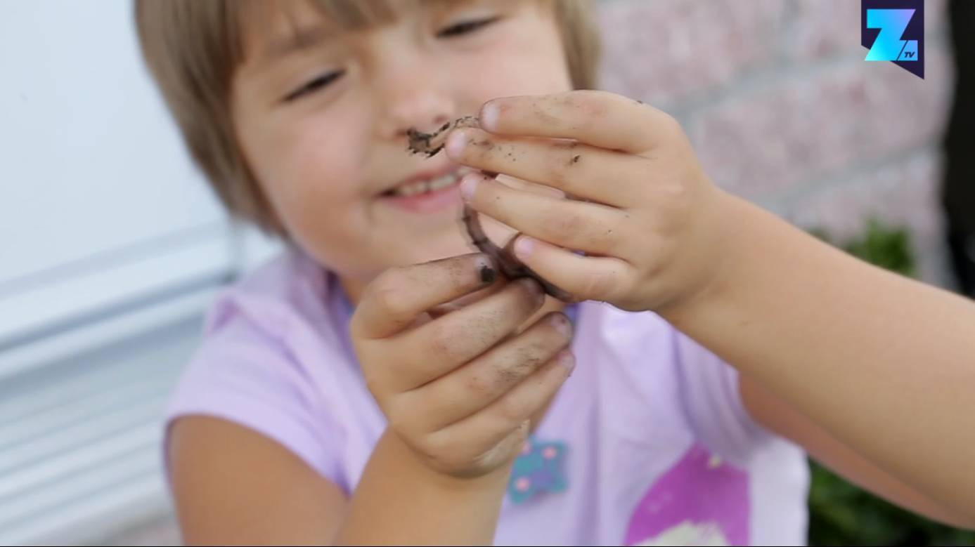 这个叫索菲亚的小女孩,她的爱好就是把玩这些黏糊糊的虫子……在她的