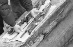 专家@千年木棺打开后，一条大白腿立刻伸了出来，专家看后赶紧盖棺!