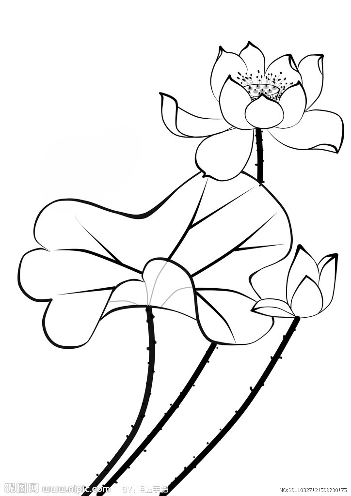 白描-第二生命形态学术语