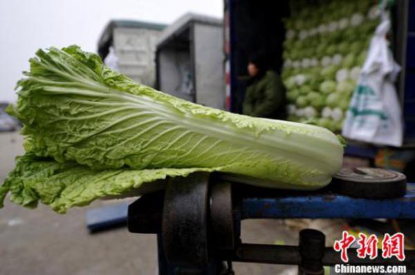 nasa带来好消息:国际空间站收获了太空白菜