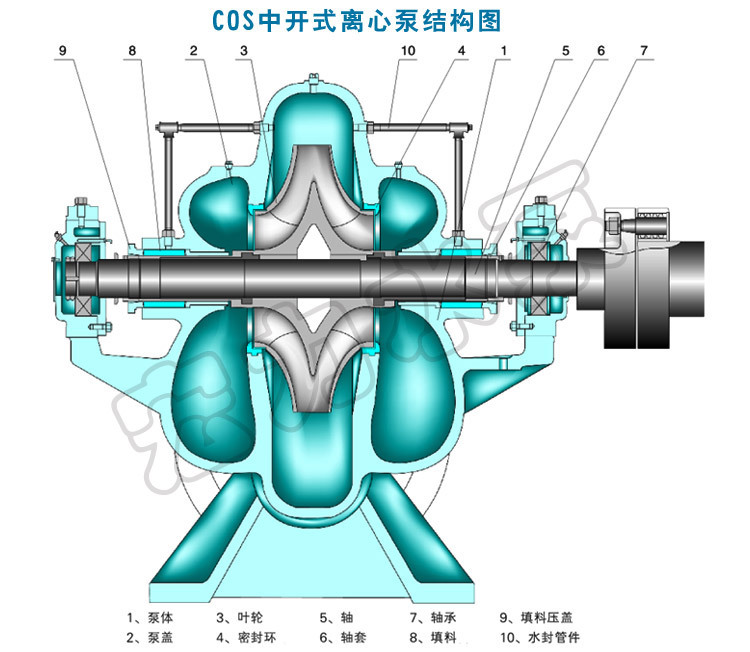 发动机水泵的结构图片