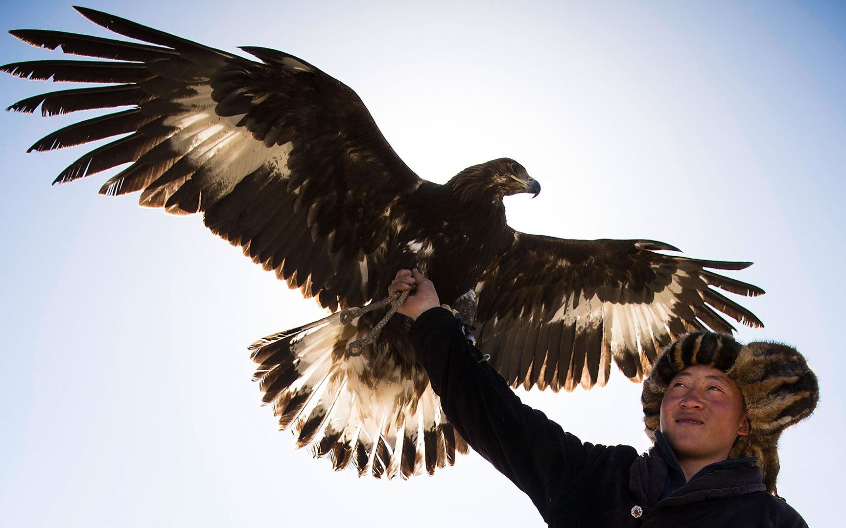 纪录片.部落,猛兽和我.s02e02.蒙古金雕.2017[高清][英字]