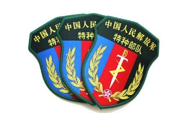 这是哪个部队的臂章啊