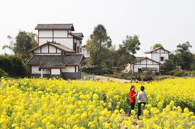 乡下人家图片大全风景图片