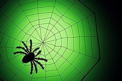 请问蜘蛛是如何织网的?