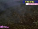 美丽俏佳人2014 偶像男团M4M热舞来袭 品尝传统饺子宴