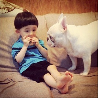 和斗牛犬一起照相的那个宝宝叫什么