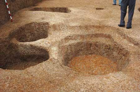 概况     绍兴嵊州市距今10000年左右小黄山类型文化遗存的惊人考古