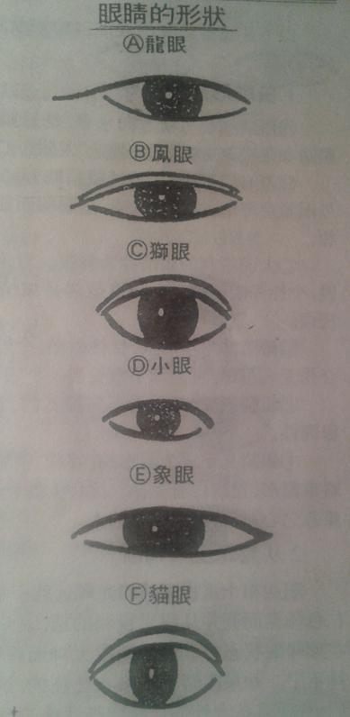 还有龙眼,狮眼,小眼,象眼等