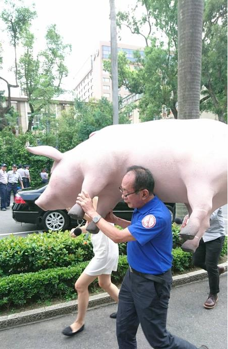 台湾农民抗议当局进口美国猪 扛猪冲击立法院