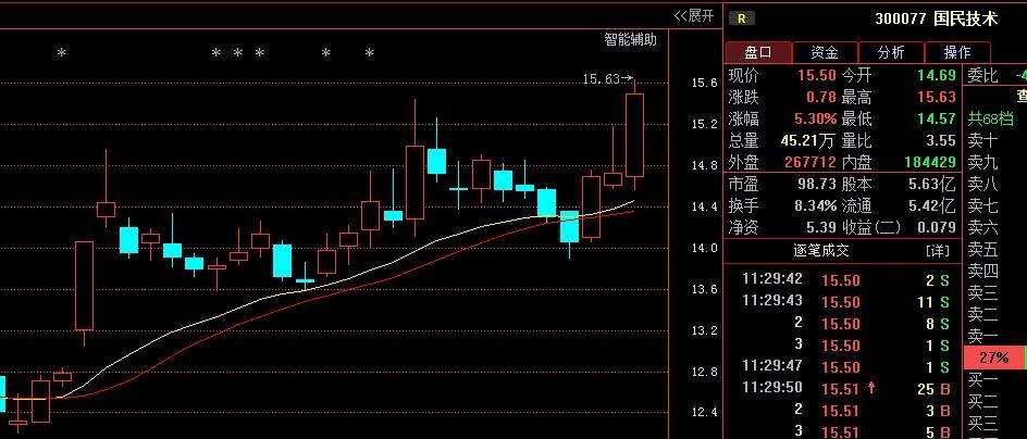 国民技术(300077)