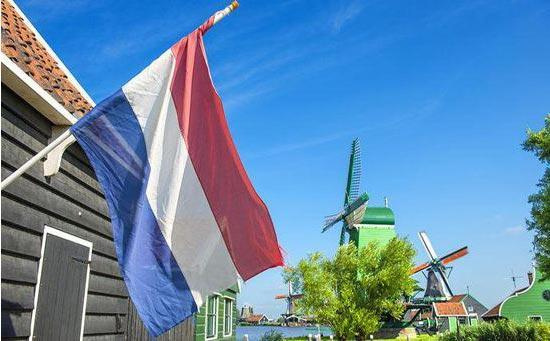 辞职荷兰内阁集体宣布政府通知_荷兰内阁集体辞职原因_荷兰政府内阁宣布集体辞职