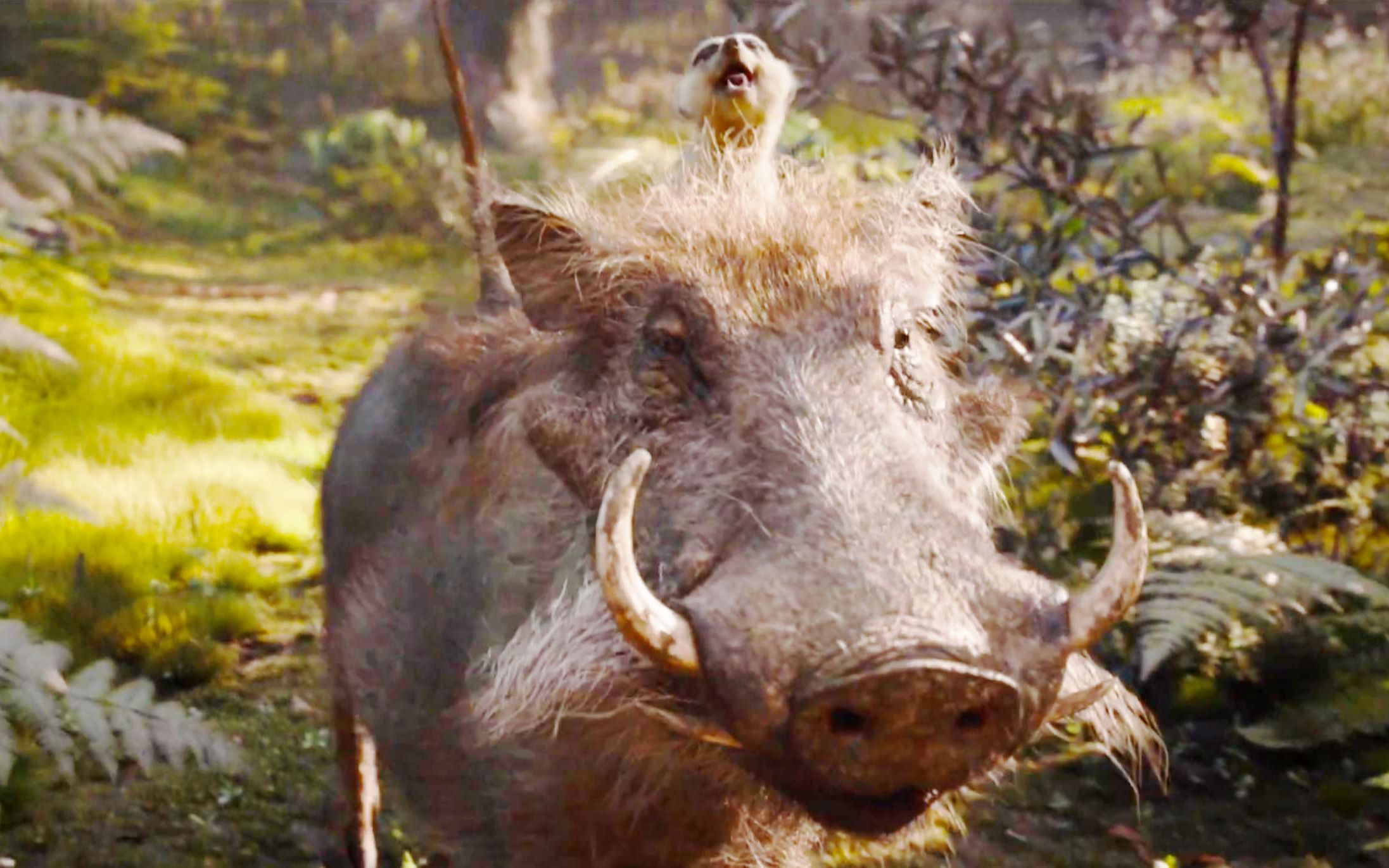 真人版《狮子王》正式预告,彭彭,丁满,刀疤全亮相!