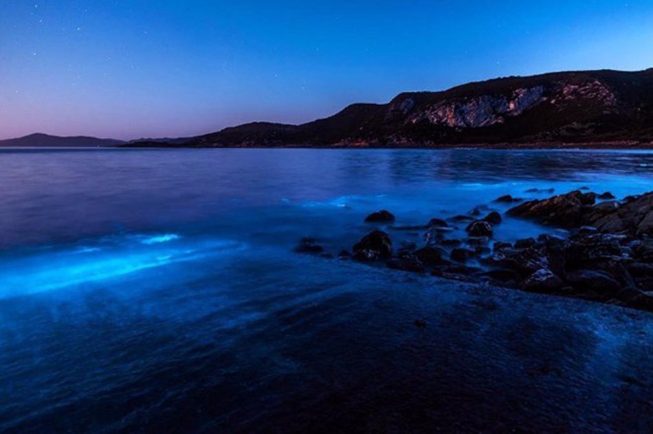 澳大利亚现蓝色荧光海奇观 美如梦幻