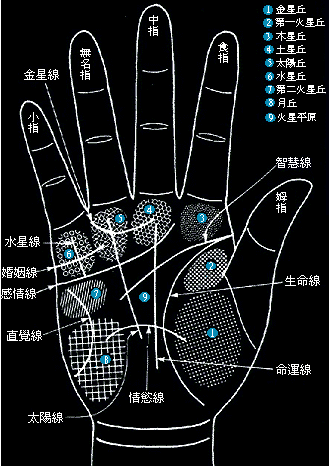 手上生命线图解大全图片