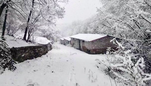 北京竟然下雪了