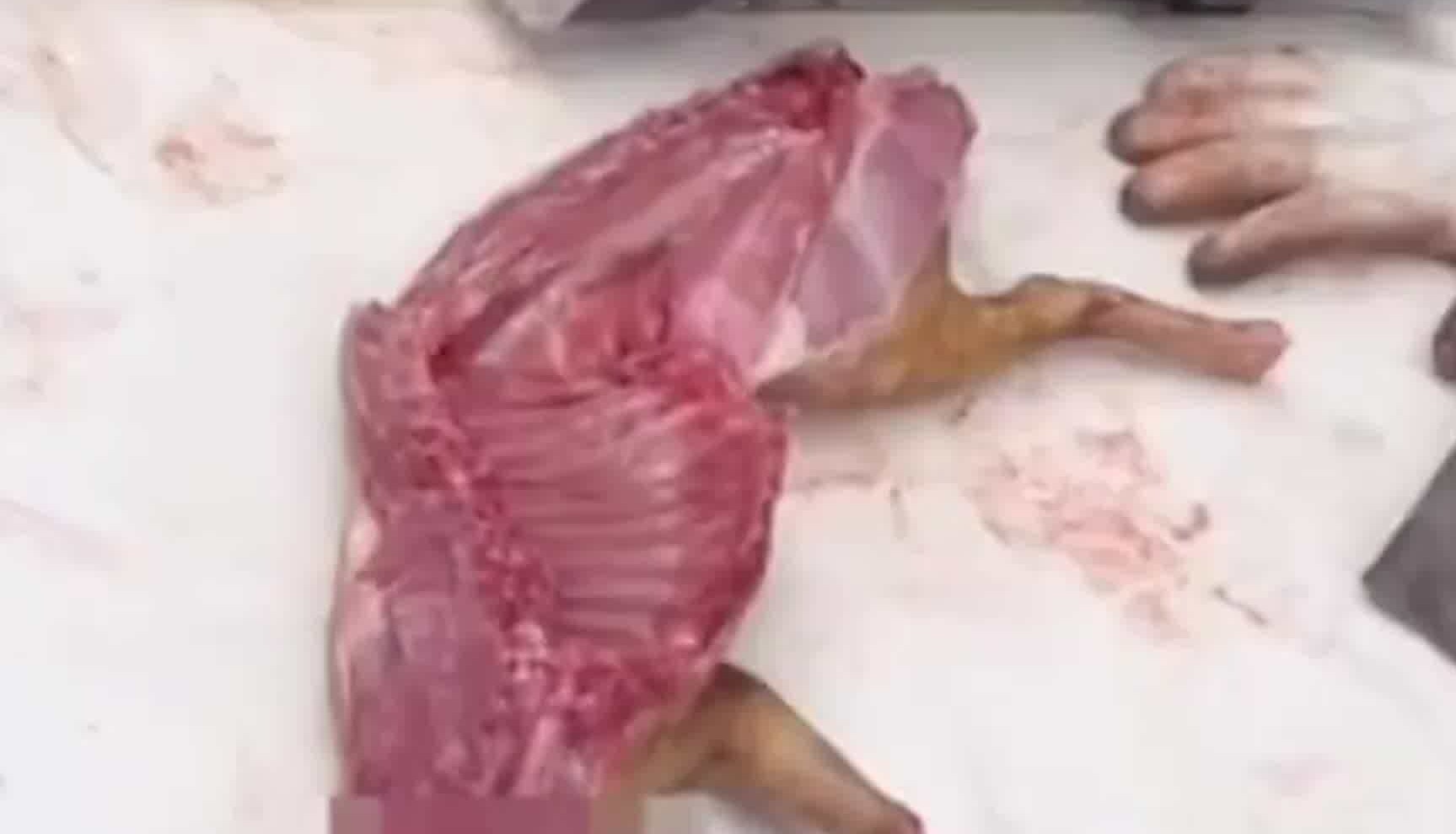 商家猫肉冒充兔肉